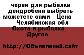 черви для рыбалки дендробена выбрать можетете сами › Цена ­ 2 - Челябинская обл. Охота и рыбалка » Другое   